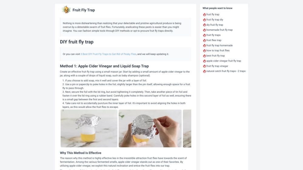 Fruit Fly Trap